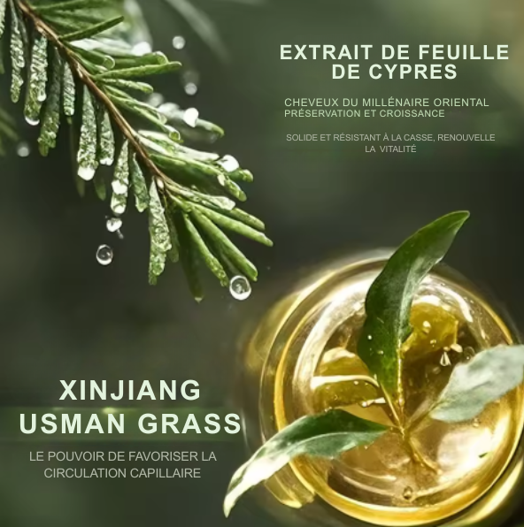 Shampoing solide nourrissant